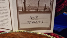 Load image into Gallery viewer, RARE 1998 Taylor Presentation Series W-14 All Walnut Flame Body RARE 1 of 1 W14
