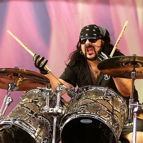 Vinnie paul signature snare drum discount