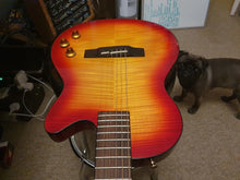 Load image into Gallery viewer, ESP Custom Shop Limited Edition Climax Piezo AAA Flame Top Electric Guitar
